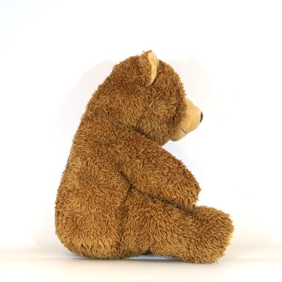 Kohls Cares Brown Bear Little Critter Mercer Mayer Teddy Stuffed Animal Plush - Picture 2 of 8